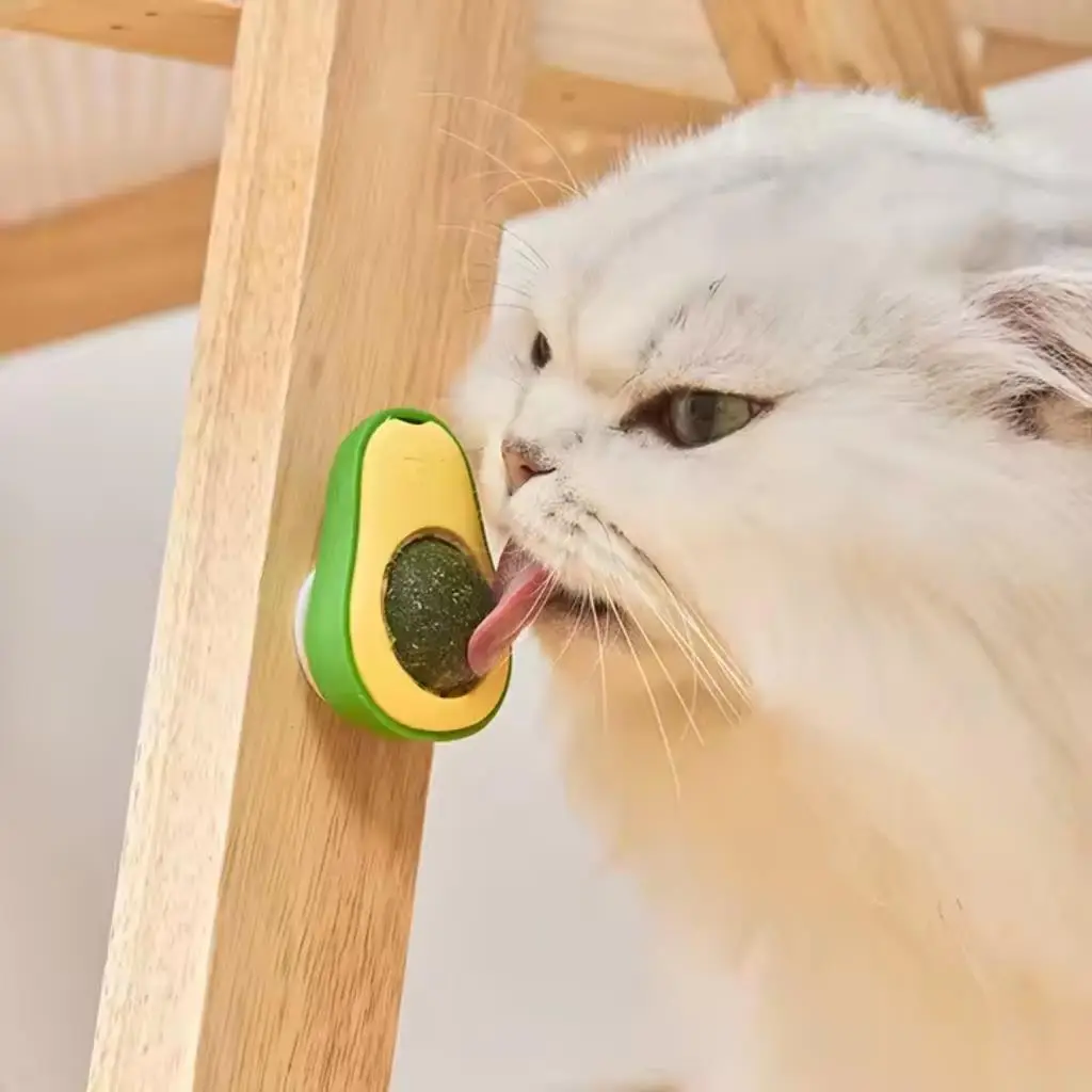 Doğal Kedi Nanesi Avokado Oyuncak 360° Döner Catnip & Kedi Çimi Doğal Kedi Nanesi Avokado Oyuncak 360° Döner Catnip & Kedi Çimi