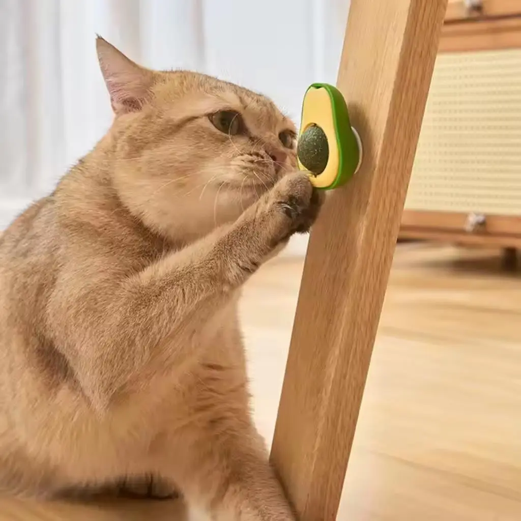 Doğal Kedi Nanesi Avokado Oyuncak 360° Döner Catnip & Kedi Çimi Doğal Kedi Nanesi Avokado Oyuncak 360° Döner Catnip & Kedi Çimi