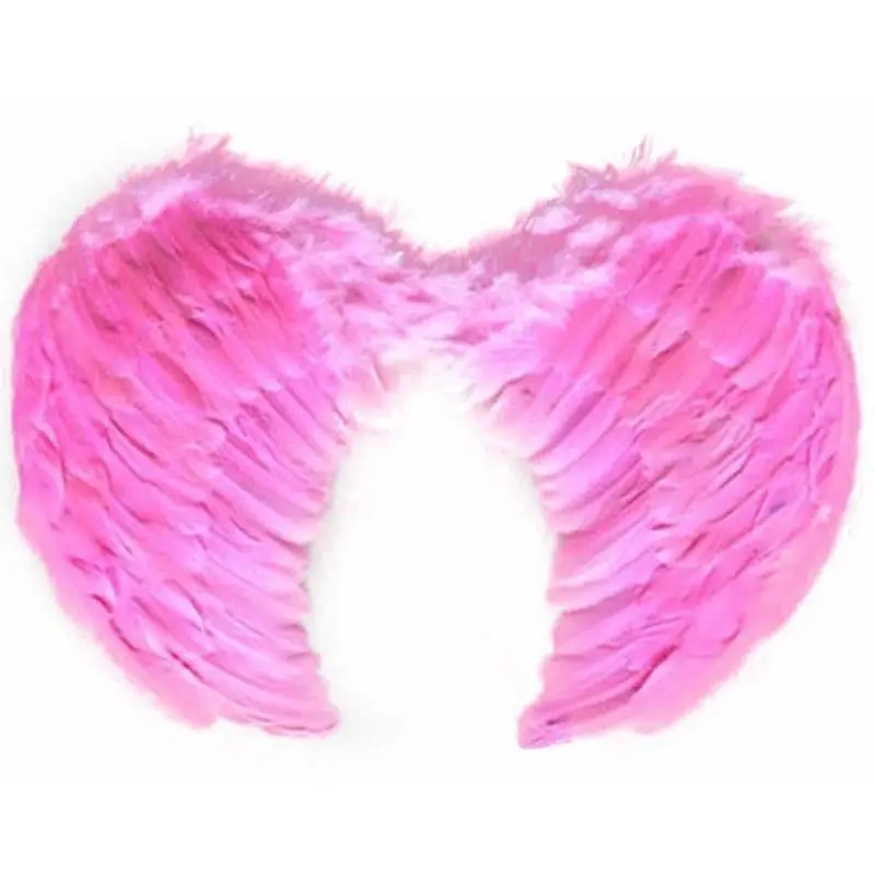 Pembe Renkli Orta Boy Çocuk Melek Kanadı 40x60 cm Pembe Renkli Orta Boy Çocuk Melek Kanadı 40x60 cm